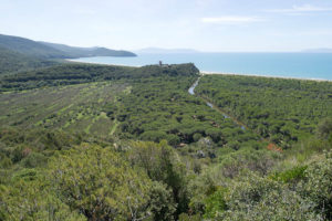 parco della maremma