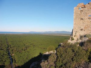 Parco Naturale della Maremma parco della maremma1