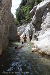 bosco-rocconi-8