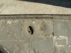 pieve-di-lamula-2